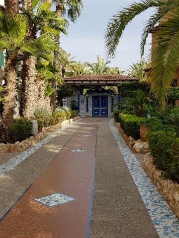 Martina Leilighet Torrevieja Eksteriør bilde