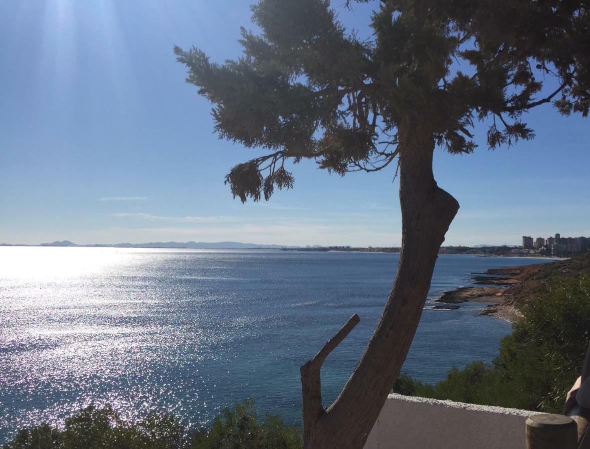 Martina Leilighet Torrevieja Eksteriør bilde