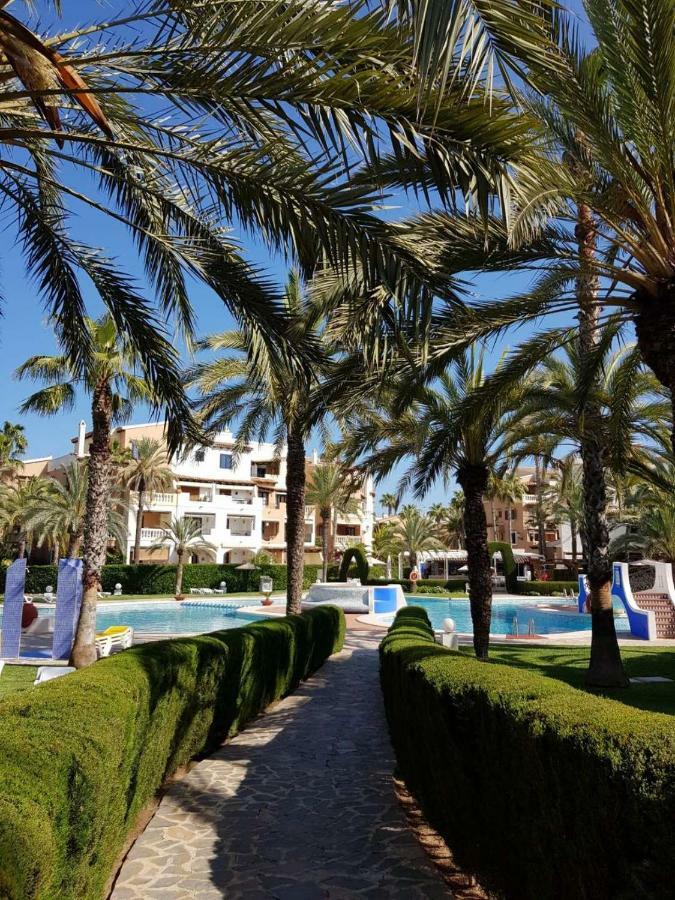 Martina Leilighet Torrevieja Eksteriør bilde