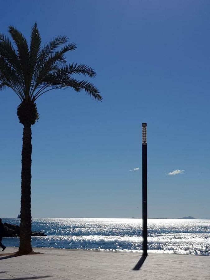 Martina Leilighet Torrevieja Eksteriør bilde